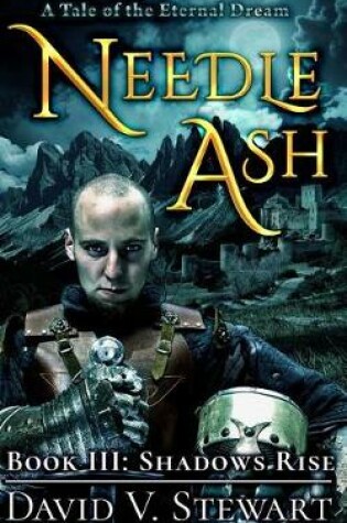 Cover of Needle Ash Book 3