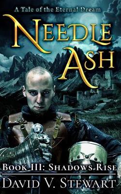 Book cover for Needle Ash Book 3