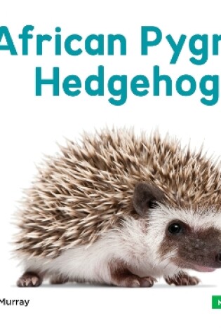 Cover of Mini Animals: African Pygmy Hedgehog