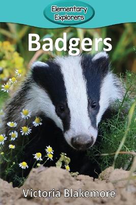 Cover of Badgers