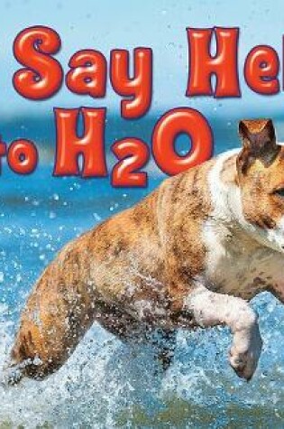 Cover of Say Hello to H2O