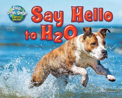 Book cover for Say Hello to H2O