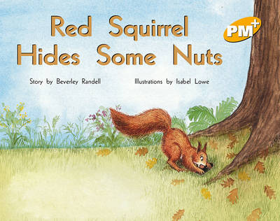 Book cover for Red Squirrel Hides Some Nuts