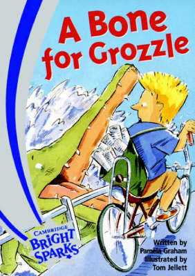 Cover of Bright Sparks: A Bone for Grozzle