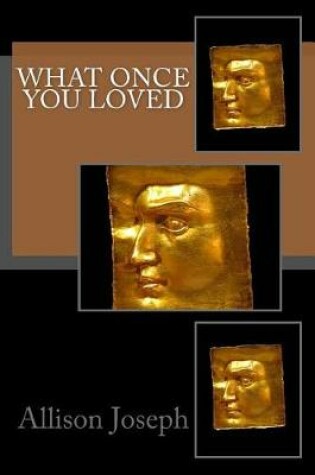 Cover of What Once You Loved