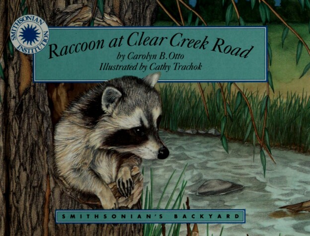 Book cover for Raccoon at Clear Creek Road