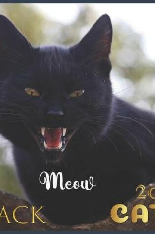 Cover of Black cats Meow