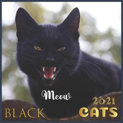 Book cover for Black cats Meow