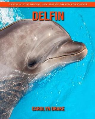 Book cover for Delfin