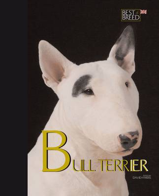 Book cover for Bull Terrier