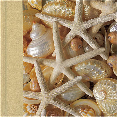 Book cover for Shells Journal