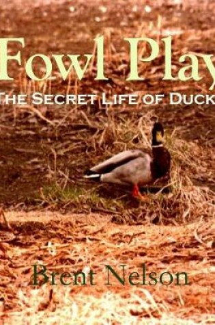 Cover of Fowl Play