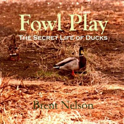 Book cover for Fowl Play