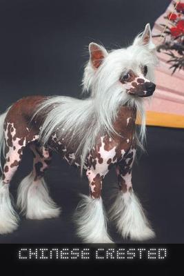 Book cover for Chinese Crested