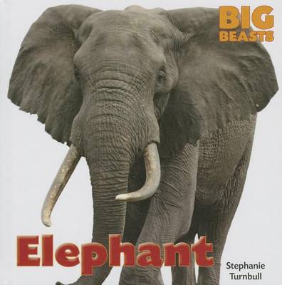 Book cover for Elephant