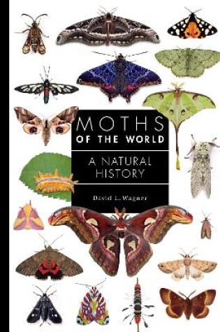 Cover of Moths of the World