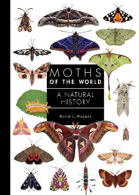 Cover of Moths of the World