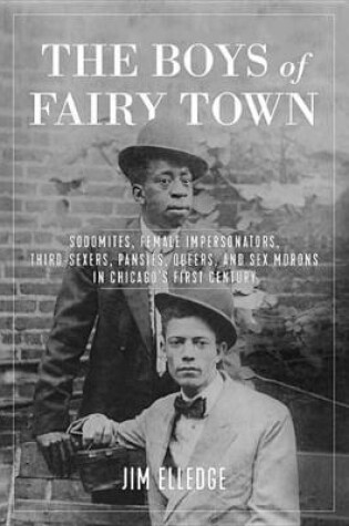 Cover of The Boys of Fairy Town