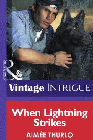 Cover of When Lightning Strikes