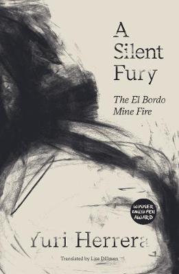 Book cover for A Silent Fury