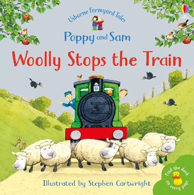 Book cover for Woolly Stops the Train