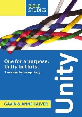 Book cover for Unity