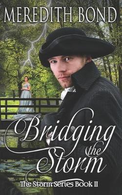 Book cover for Bridging the Storm