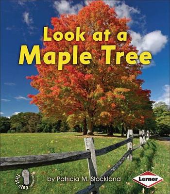 Cover of Look at a Maple Tree