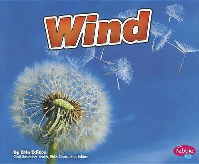 Cover of Wind