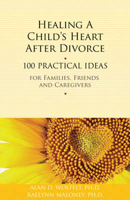 Book cover for Healing a Child's Heart After Divorce