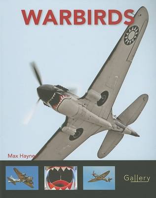 Book cover for Warbirds