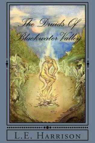 Cover of The Druids of Blackwater Valley