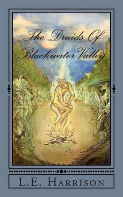 Book cover for The Druids of Blackwater Valley