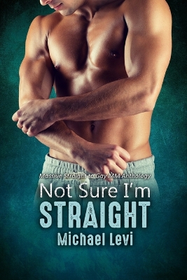 Book cover for Not Sure I'm Straight