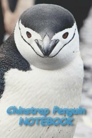 Cover of Chinstrap Penguin NOTEBOOK
