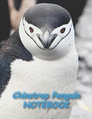 Book cover for Chinstrap Penguin NOTEBOOK