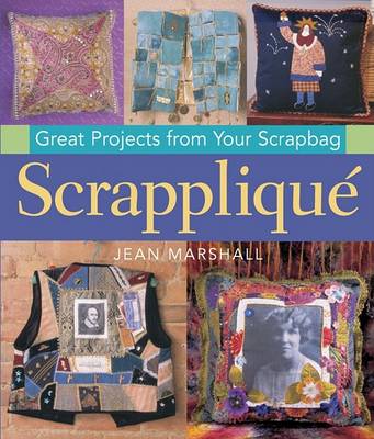Book cover for Scrapplique