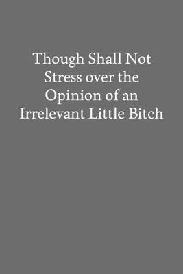 Book cover for Though Shall Not Stress over the Opinion of an Irrelevant Little Bitch