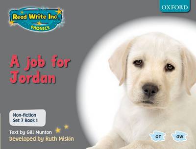 Cover of Non-fiction Set 7 (Grey): A job for Jordan - Book 1