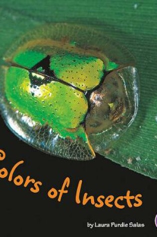 Cover of Colors of Insects