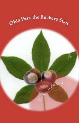 Book cover for Ohio Past, the Buckeye State