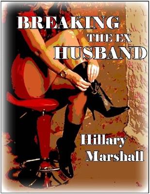 Book cover for Breaking the Ex Husband