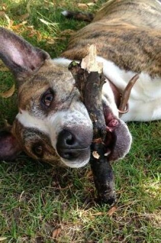 Cover of Staffordshire Terrier with a Stick Journal