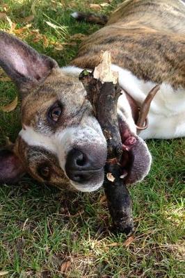 Book cover for Staffordshire Terrier with a Stick Journal