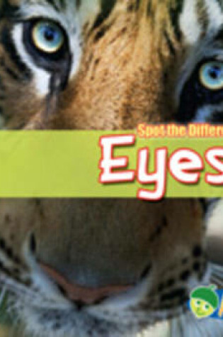 Cover of Eyes