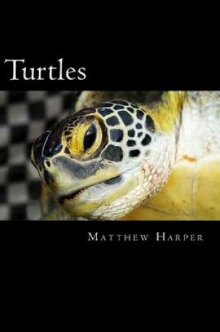 Cover of Turtles