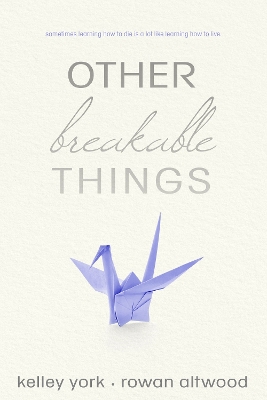 Book cover for Other Breakable Things