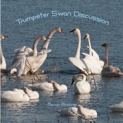 Book cover for Trumpeter Swan Discussion