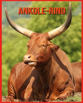 Book cover for Ankole-Rind