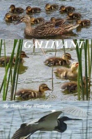 Cover of Gallivant